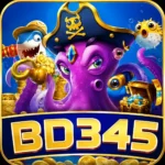 BD345 Game