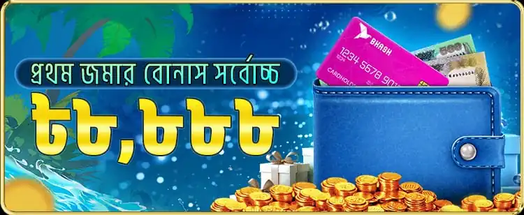 BD345 Game