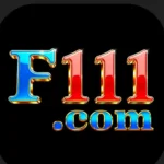 F111 Game